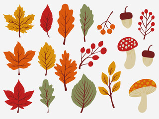 Set of autumn doodle dry leaves element including, berries mushroom and acorn.Fall leaves hand drawn element design.