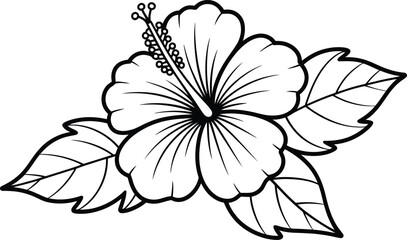 Black and White Hibiscus Flower with Leaves