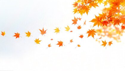 風に舞う秋の紅葉の葉　白J背景の秋素材　generative ai