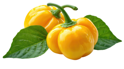 Vibrant Yellow Peppers: A close-up image of ripe yellow peppers, their textured surfaces contrasting against fresh green leaves, creates a visually stimulating scene.