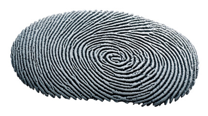 Detailed Fingerprint: A close-up view of a singular, intricate fingerprint, showcasing the unique patterns and ridges that define individuality. A symbol of identity, security, and forensic science.