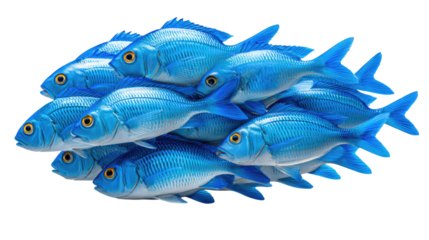 Blue fish in a school : A mesmerizing image showcases a cohesive group of blue fish, gracefully arranged, creating a stunning visual of teamwork and cooperation.