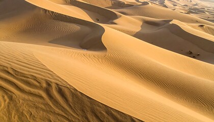 Golden desert dunes