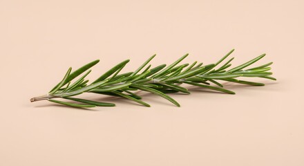 Fototapeta premium Vibrant Fresh Fruit Salad Bowl with Berries, Kiwi, and Orange Slices - Healthy Breakfast