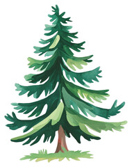 Obraz premium PNG Green pine Tree tree illustration art.