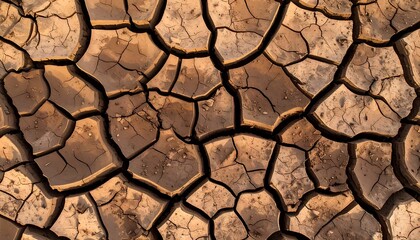 Dried, cracked earth
