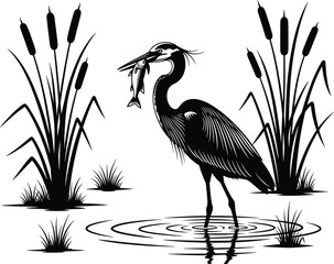 Heron with fish in beak, standing in marsh water, black vector illustration for wildlife, birdwatching, wetland nature scene, and fishing design