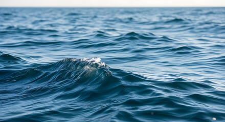 Ocean waves rolling on a sunny day