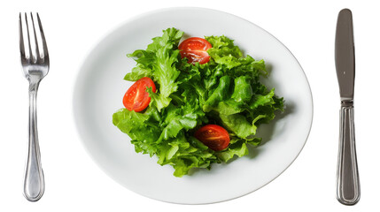 Clean white dinner plate with salad Transparent background, PNG file