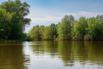 The Volga River Delta in the Damchik section of the Astrakhan Biosphere Reserve, Central cordon, on...