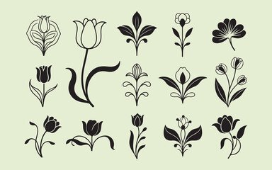Collection of vintage botanical illustrations of flowers and leaves