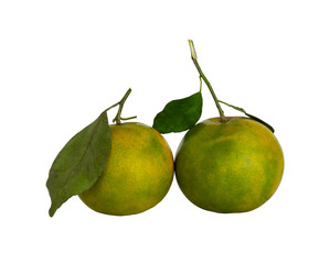 two whole green orange fruit with leaf isolated