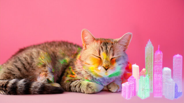 A cat peacefully napping by a modern glass window, outside is a futuristic sci-fi city with glowing neon holograms, cyberpunk aesthetic, cool blue and magenta tones, high-tech and surreal mood. - Powered by Adobe