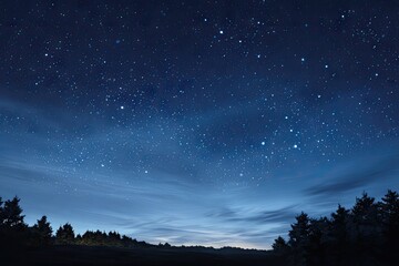 Fototapeta premium Starry night sky over dark forest (5)