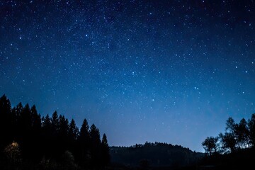 Fototapeta premium Starry night over a dark forest (3)