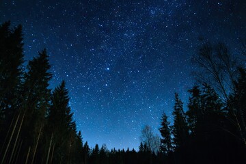 Fototapeta premium Starry night sky over a dark forest (1)