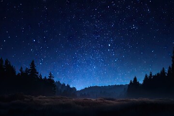 Starry night over a misty forest (3)