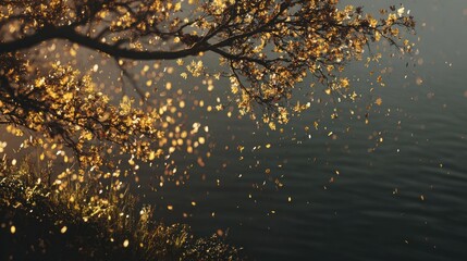 Golden autumn leaves cascade from a tree over dark water, sunlit grass on the bank