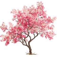 Fototapeta premium Pink blossom tree, full of flowers