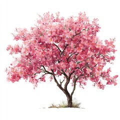 Fototapeta premium Pink blossom tree illustration