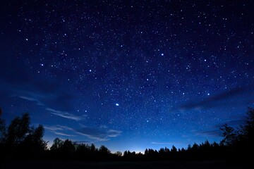 Starry night sky over dark trees