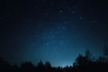 Naklejka premium Starry night sky over dark trees (2)