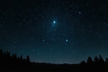 Night sky with stars and forest silhouette
