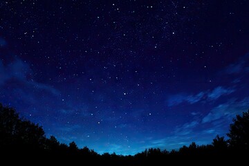 Starry night sky over dark trees (4)