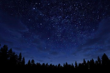 Starry night sky over dark forest (10)
