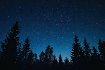 Naklejka premium Night sky above a dark forest (2)