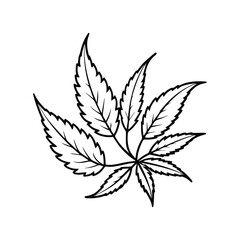 neem leaves line art, black outline, vector and illustration
