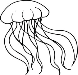 jellyfish line art, black outline, vector and illustration