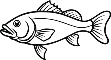 largemouth bass line art, black outline, vector and illustration