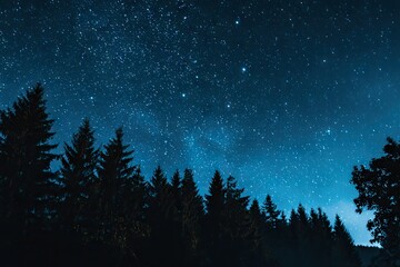 Naklejka premium Starry night sky over dark forest