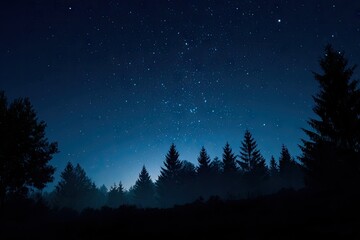 Naklejka premium Starry night forest silhouettes (3)