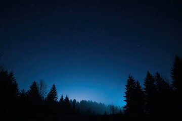 Fototapeta premium Night sky over dark silhouettes of trees