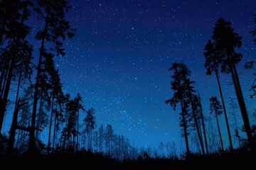 Fototapeta premium Silhouetted trees under a starry night sky