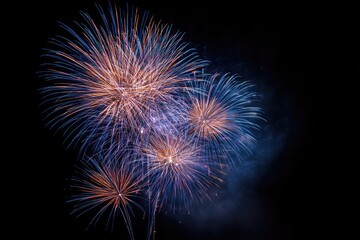 Fireworks burst in vibrant colors against a dark night sky
