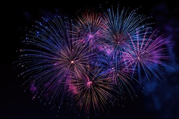 Colorful fireworks burst against a dark night sky
