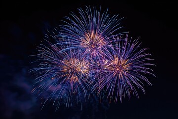 Fototapeta premium Purple and gold fireworks burst in night sky