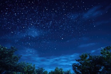 Starry night sky over trees (1)