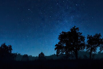 Naklejka premium Starry night over a dark forest (5)