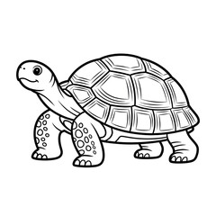 A tortoise illustration vector style coloring page