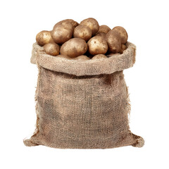 Burlap sack overflowing with potatoes, isolated on black backdrop, rustic harvest