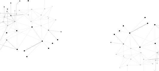 spider web on white background