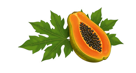 Pawpaw