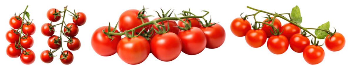 Fresh ripe tomatoes on vine