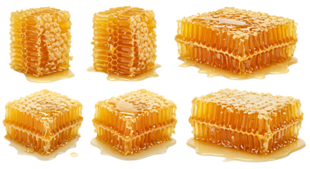 Six delicious and natural honeycomb pieces with golden honey dripping down showcasing their hexagonal cells isolated on white background