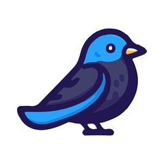 
starling illustration design