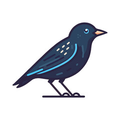 
starling illustration design